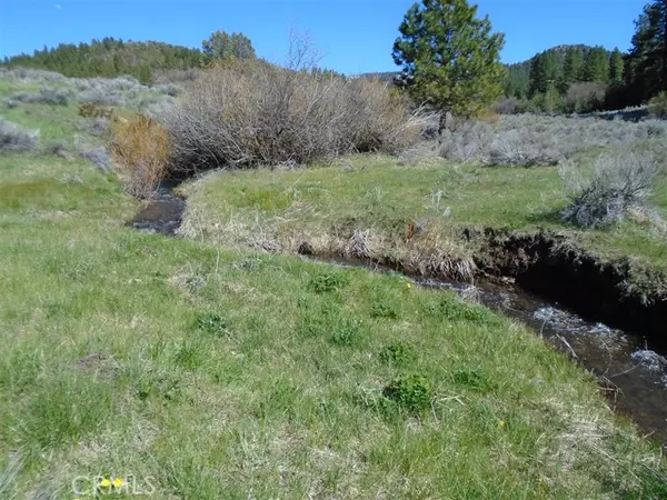 Alturas, CA 96101,0 Hogan Court