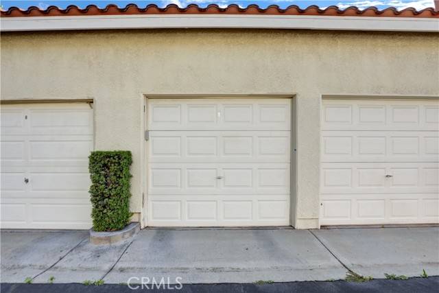 Aliso Viejo, CA 92656,94 Cinnamon Teal