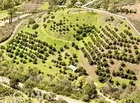 Temecula, CA 92590,44455 Sandia Creek Drive