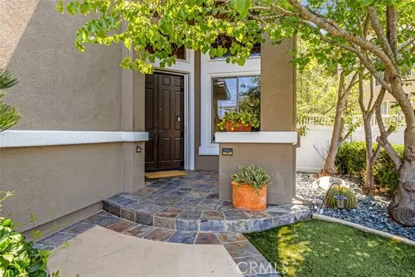 Aliso Viejo, CA 92656,32 Rockrose