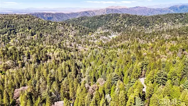 Cedarpines Park, CA 92322,22384 Crest Forest Road