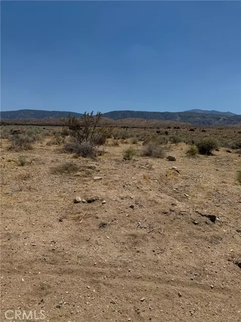 Llano, CA 93544,226 Vac/Cor Avenue