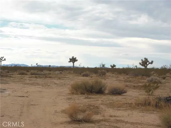 Landers, CA 92285,6113 Napa (@ Rainbow)