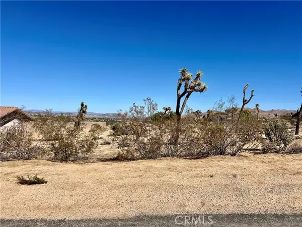 Joshua Tree, CA 92252,0 Torres Avenue