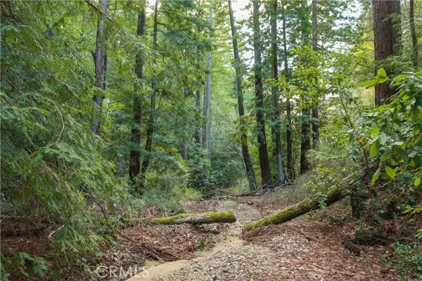 Felton, CA 95018,0 Old Mill Road