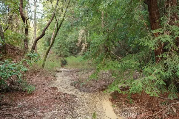 Felton, CA 95018,0 Old Mill Road