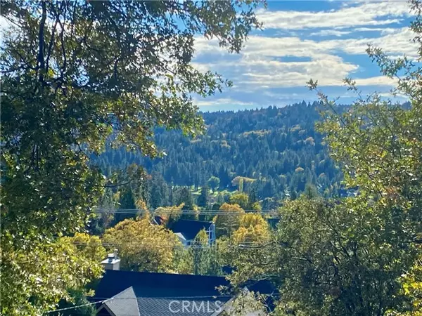 Lake Arrowhead, CA 92352,139 Grass Valley