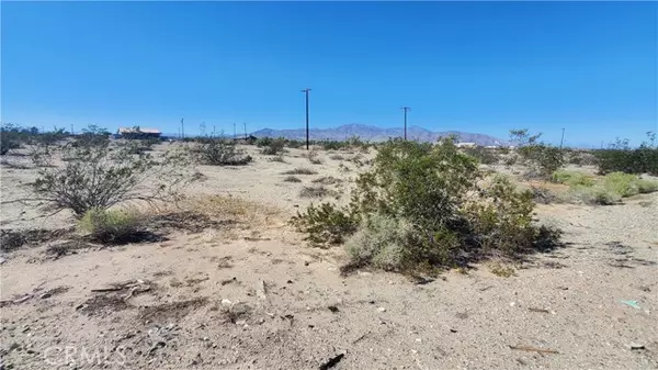 Thermal, CA 92274,2537 Sea Flower