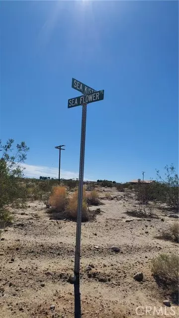 Thermal, CA 92274,2537 Sea Flower