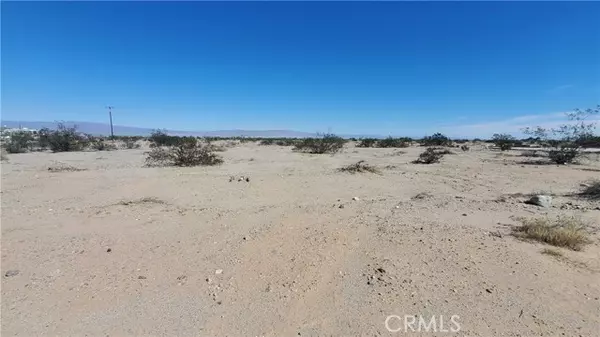 Thermal, CA 92274,2537 Sea Flower