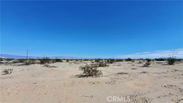 Thermal, CA 92274,2537 Sea Flower