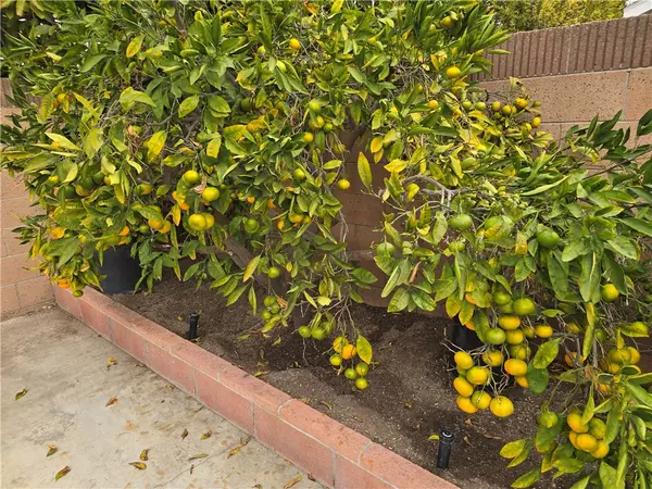 Anaheim, CA 92804,3115 W Teranimar