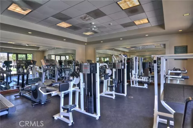 Irvine, CA 92603,20 Dreamlight