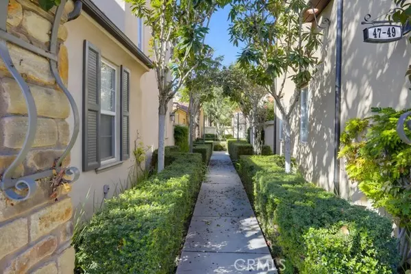 Irvine, CA 92602,49 Night Bloom