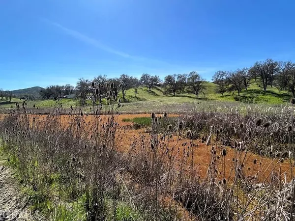 Lakeport, CA 95453,355 Pine Ridge