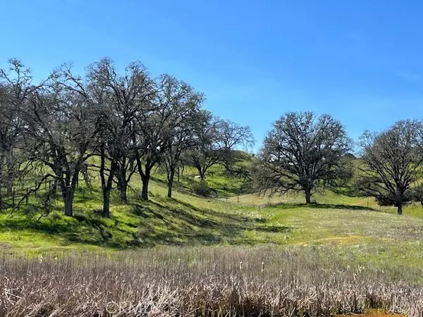 Lakeport, CA 95453,355 Pine Ridge