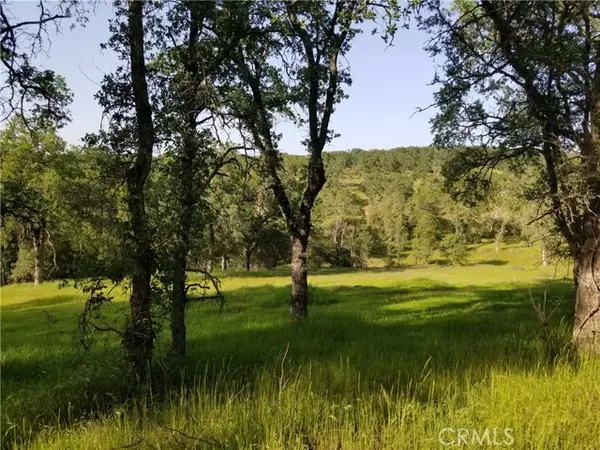 Oroville, CA 95966,0 Bethridge Road