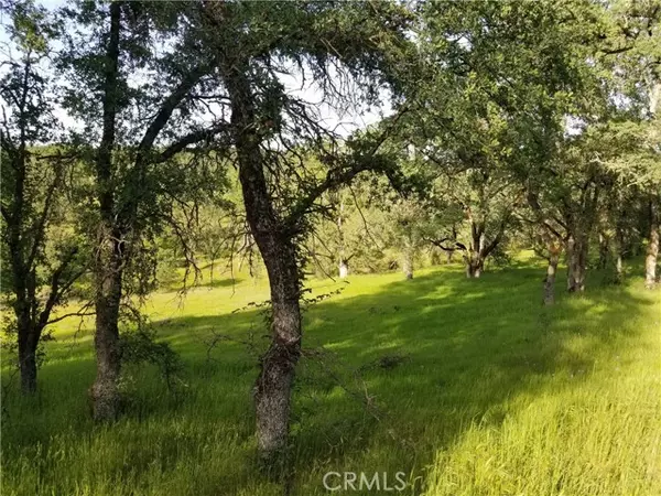 Oroville, CA 95966,0 Bethridge Road