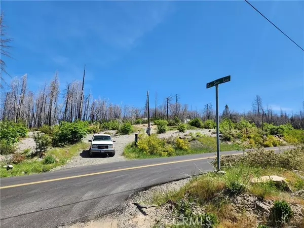 2175 Bald Rock Road, Berry Creek, CA 95916