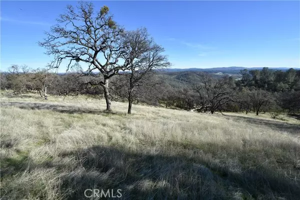 Oroville, CA 95965,1193 Oregon Gulch Road