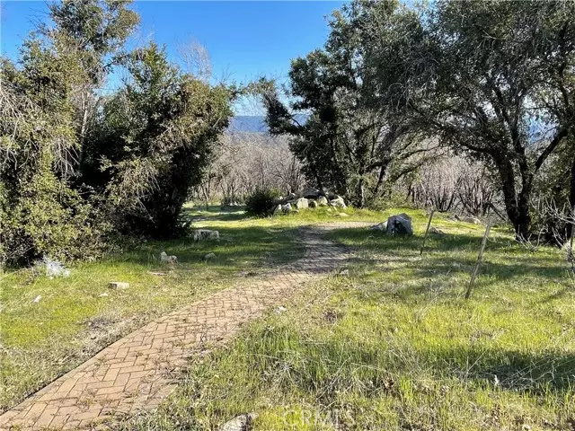 Berry Creek, CA 95916,363 Raccoon Road