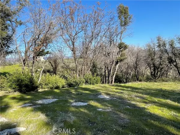 Berry Creek, CA 95916,363 Raccoon Road