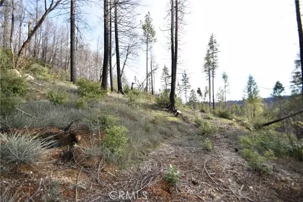 Berry Creek, CA 95916,0 Lake Madrone Way