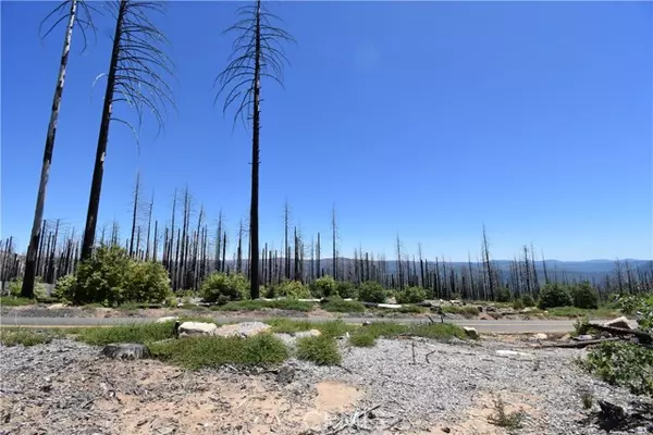 Berry Creek, CA 95916,0 Bald Rock Road