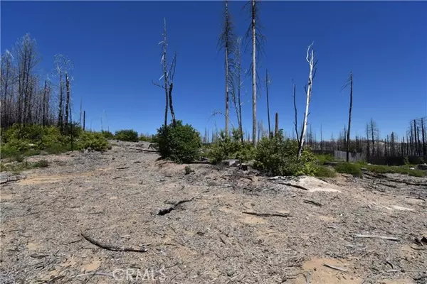 Berry Creek, CA 95916,0 Bald Rock Road