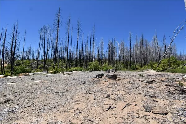 Berry Creek, CA 95916,0 Bald Rock Road