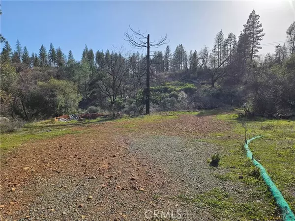 Berry Creek, CA 95916,6 Feather Ridge Way