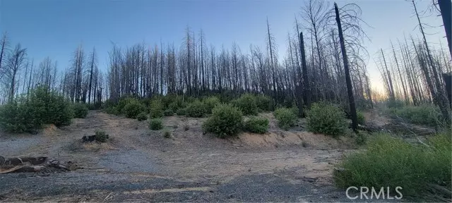 Berry Creek, CA 95916,0 Bald Rock