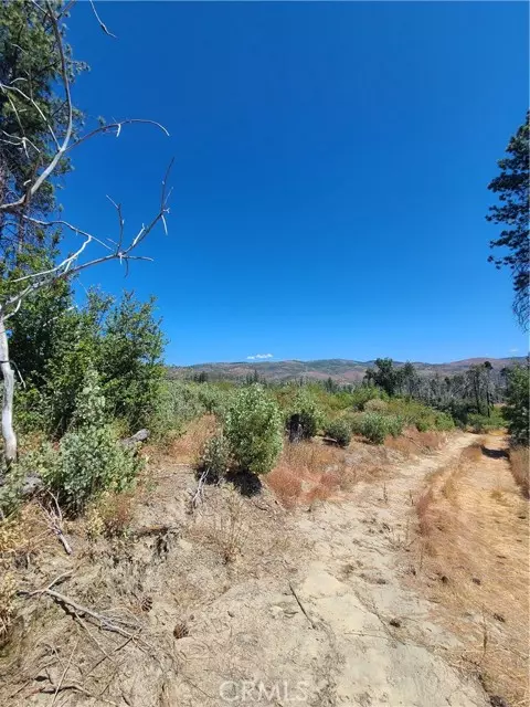 Paradise, CA 95966,0 Hog Ranch Road