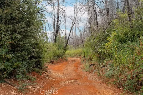 Berry Creek, CA 95916,0 Stephens Ridge Rd
