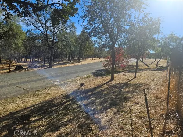 Oroville, CA 95966,590 Lodgeview Drive