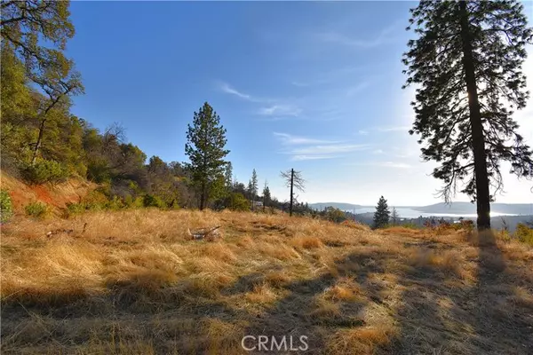 Berry Creek, CA 95966,0 Canyon Creek Road