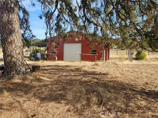 Oroville, CA 95966,0 Mission Olive