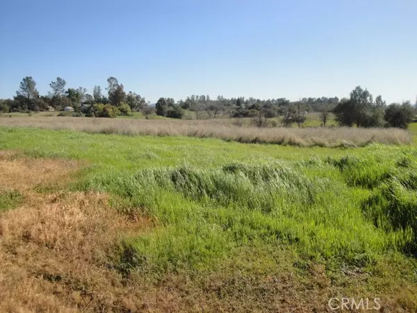 Oroville, CA 95966,129 Misty View Way