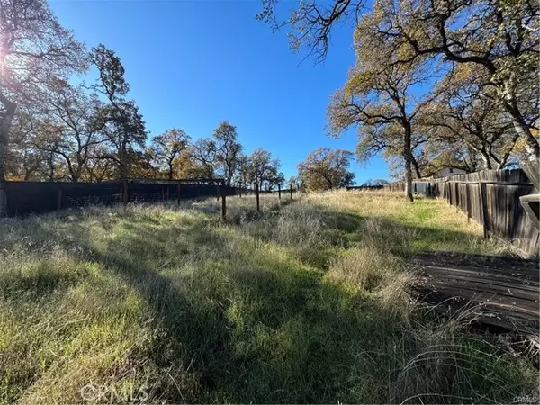 Oroville, CA 95966,43 Alta Mira Lane