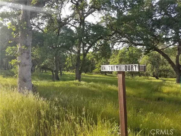 Oroville, CA 95966,0 Whitney Court