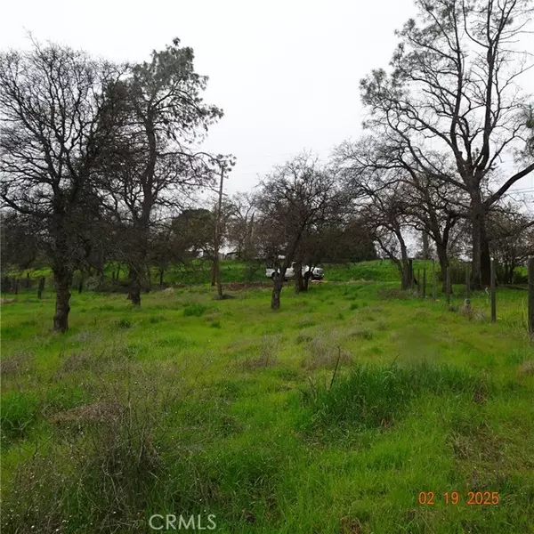 Oroville, CA 95966,0 Long Bar