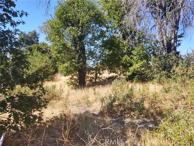 363 Raccoon Road, Berry Creek, CA 95916