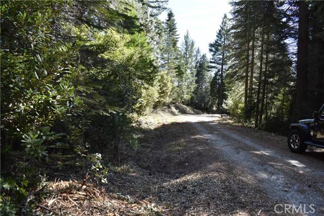 Strawberry Valley, CA 95881,0 Juniper Lane