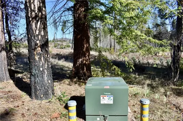 Berry Creek, CA 95916,20 Meadow Lane