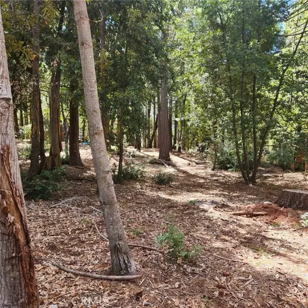 Clipper Mills, CA 95930,11254 Winding Way