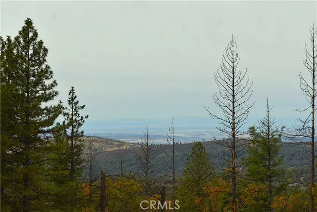 Oroville, CA 95966,233 Renegade Road