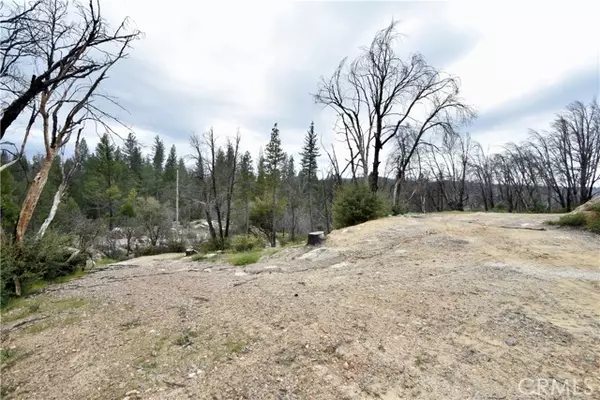 Berry Creek, CA 95916,77 Webster Road