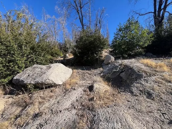 Berry Creek, CA 95916,80 Oak Drive