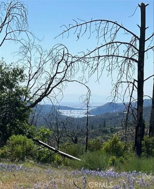 129 Cedar Tree Lane, Oroville, CA 95966