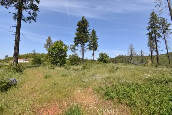 Oroville, CA 95965,0 Stone Mountain Road